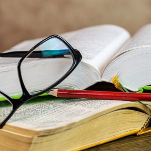 Ondersteuning bij Europese aanbestedingen door Carolien Aalders
